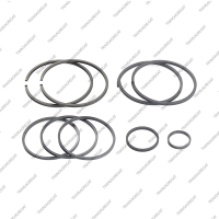 Комплект уплотнительных колец (9шт.)