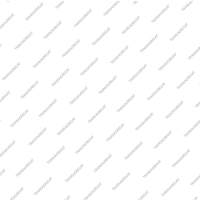 Обгонная муфта (90x74x13) Forward (32 сегмента)